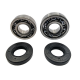 Bearing Worx, ložiska a gufera klikovky, Yamaha YZ 65 '18-'20, YZ 85 '19-'20 (MADE IN JAPAN) (NTN)