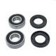 Bearing Worx, ložiska a gufera předního kola, BMW F 650/ST '97-'99, R 65LS '81-'85, Suzuki GSF 600 BANDIT '95-'