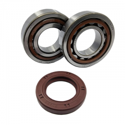 Bearing Worx, ložiska klikovky, KTM SX/EXC 400/450/520/525 (MADE IN JAPAN) (NTN) (24-1106)