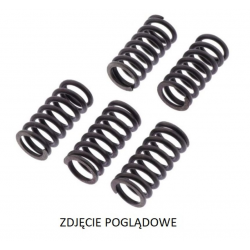 TRW, spojkové pružiny, Suzuki DL 650 V-STROM '12-,