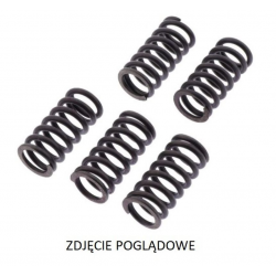 TRW, spojkové pružiny, Kawasaki KX 125 '03-'08, KX 250F '04-,