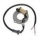 Electrosport, stator alternátoru, Honda CR 80 '83-'02, 85 '03-'04