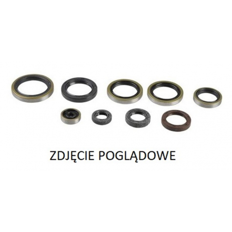 Psychic, sada gufer motoru, Gas Gas EC 250, EX 300 '21, Husqvarna TC 250 '17-'19, TE 250/300 '17-