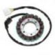 Electrosport, stator alternátoru, Honda CBR 900RR '00-'01 (CBR929)