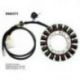 Electrosport, stator alternátoru, Suzuki AN 650 BURGMAN (03-12) (se snímačem)