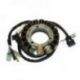 Electrosport, stator alternátoru se světly, Honda TRX 400EX SPORTRAX (99-14)