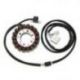Electrosport, stator alternátoru, Yamaha T-MAX 500 (01-11) (se snímačem)