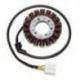 Electrosport, stator alternátoru, Honda CBF 1000 '06-'09