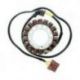 Electrosport, stator alternátoru, Aprilia RSV/TUONO