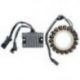 Electrosport, stator alternátoru, Harley - Davidson XL SPORTSTER 883/1200 (04-06) (3 fázový + regulátor napětí) ESR857