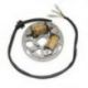 Electrosport, stator alternátoru se světly, Kawasaki KDX 200 (89-05), KDX 220R (97-05)