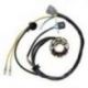 Electrosport, stator alternátoru se světly, Kawasaki KXF 250 (04), Suzuki RMZ 250 (04) (se snímačem) (50W)