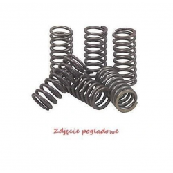 Bronco, spojkové pružiny, Yamaha YFM 250 RAPTOR '08-'13, YFM 350 '87-'04, YFM 350 RAPTOR '04-'13, YFP 350U '88, YFZ 450