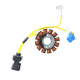 Electrosport, stator alternátoru, Aprilia / Derbi / Gilera / Italjet / Malaguti / Piaggio / Vespa 125/150/200CCM