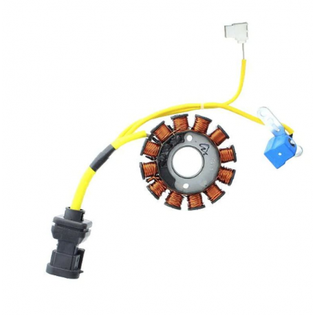 Electrosport, stator alternátoru, Aprilia / Derbi / Gilera / Italjet / Malaguti / Piaggio / Vespa 125/150/200CCM