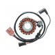 Electrosport, stator alternátoru, Aprilia / Gilera / Italjet / Malaguti / Piaggio / Vespa 125/250/300/500CCM