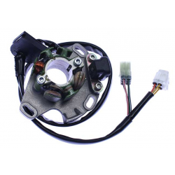 Electrex, stator alternátoru, Suzuki RM250 '98-'01