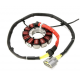 Bronco, stator alternátoru, Can Am MAVERIC 800/COMMANDER 1000/MAX 1000 /DEFENDER MAX/PRO /TRAXTER MAX/PRO '20-21