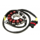 Bronco, stator alternátoru, Can Am MAVERIC TURBO RR/MAX TURBO RR '21, (420686363)