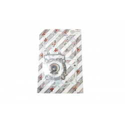 Bearing Worx, sada těsnění motoru (808482)