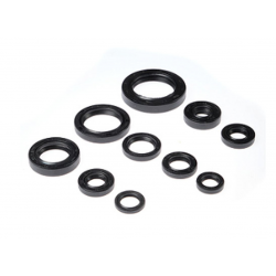 Bearing Worx, sada gufer motoru (822107)