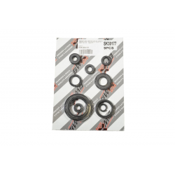 Bearing Worx, sada gufer motoru (822177)