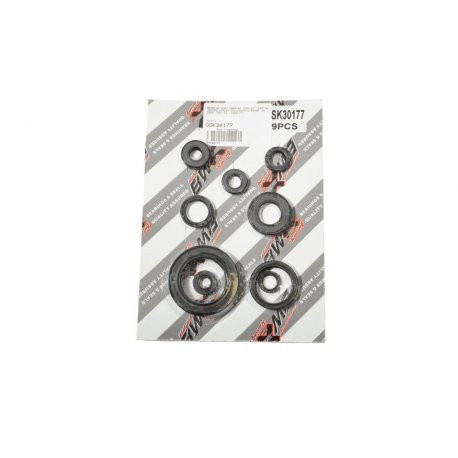 Bearing Worx, sada gufer motoru (822177)