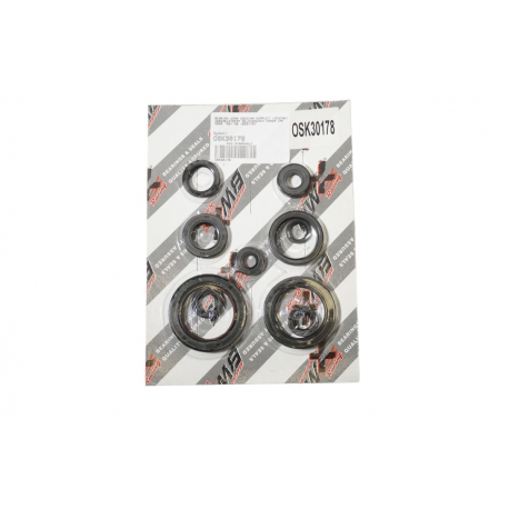 Bearing Worx, sada gufer motoru (822178)