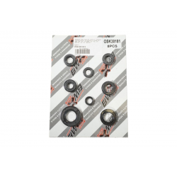 Bearing Worx, sada gufer motoru (822181)