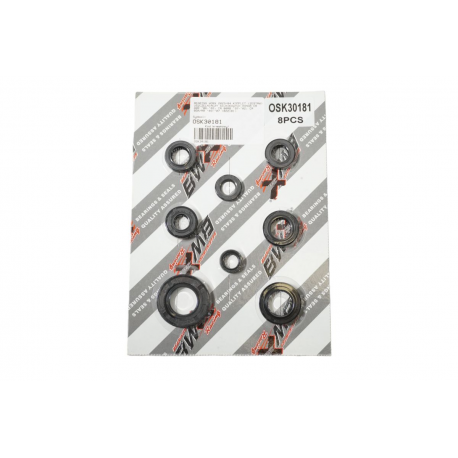 Bearing Worx, sada gufer motoru (822181)