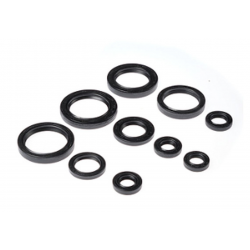 Bearing Worx, sada gufer motoru (822237)
