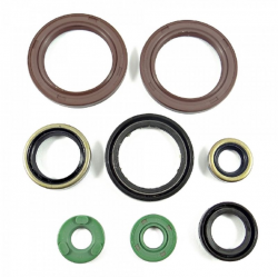 Bearing Worx, sada gufer motoru (822248)