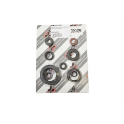 Bearing Worx, sada gufer motoru (822268)