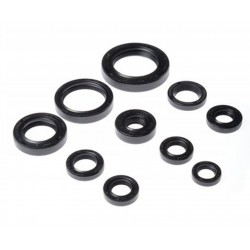 Bearing Worx, sada gufer motoru (822270)