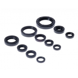 Bearing Worx, sada gufer motoru (822271)