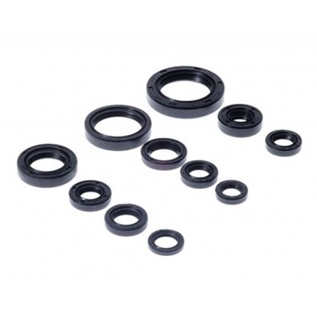 Bearing Worx, sada gufer motoru (822271)