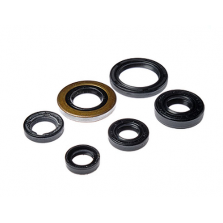 Bearing Worx, sada gufer motoru (822278)