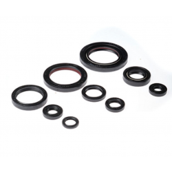 Bearing Worx, sada gufer motoru (822312)