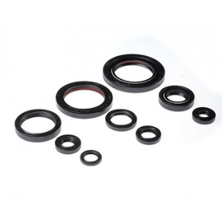 Bearing Worx, sada gufer motoru (822312)