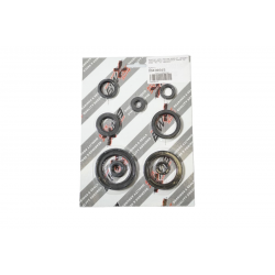 Bearing Worx, sada gufer motoru (822315)