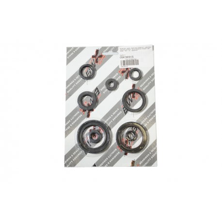 Bearing Worx, sada gufer motoru (822315)