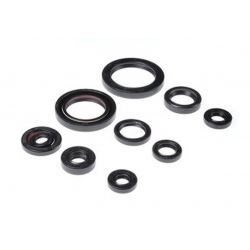 Bearing Worx, sada gufer motoru (822332)