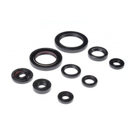 Bearing Worx, sada gufer motoru (822332)