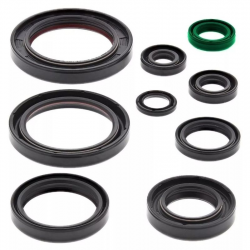 Bearing Worx, sada gufer motoru (822352)