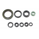 Bearing Worx, sada gufer motoru (822357)
