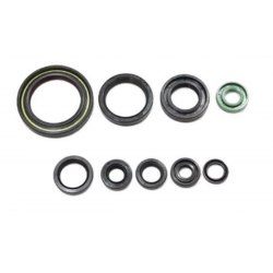 Bearing Worx, sada gufer motoru (822357)