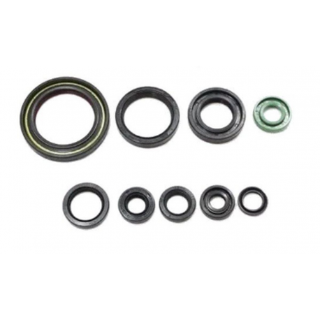 Bearing Worx, sada gufer motoru (822357)