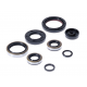 Bearing Worx, sada gufer motoru (822264)
