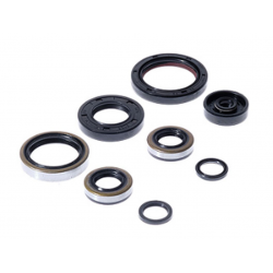 Bearing Worx, sada gufer motoru (822264)