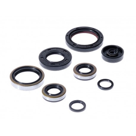 Bearing Worx, sada gufer motoru (822264)